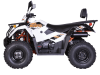 Квадрицикл KAYO AU300 Carb (белый пластик 2024 г.) (ПТС)
