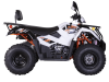 Квадрицикл KAYO AU300 Carb (белый пластик 2024 г.) (ПТС)