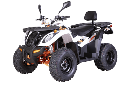 Квадрицикл KAYO AU300 Carb (белый пластик 2024 г.) (ПТС)