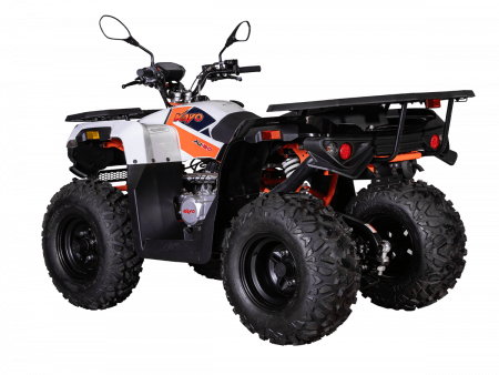 Квадрицикл KAYO AU180 (белый пластик 2024 г.) (ПТС)