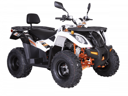 Квадрицикл KAYO AU300 Carb (белый пластик 2024 г.) (ПТС)